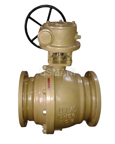 Paint Trunnion Mounted Ball Valves