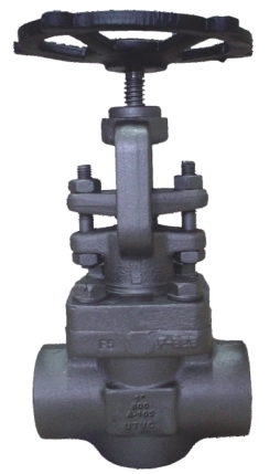 Forged Steel Globe Valves Class 800 Socket Weld