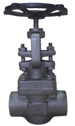 Globe Valve 800