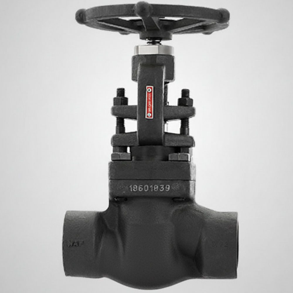 Forged Steel Globe Valves Class 800 Socket Weld