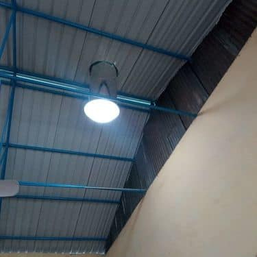 Green Shine Tubular Daylights