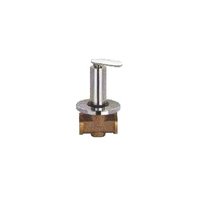 Brass Flush Valve Manufacturer