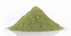 Spray Dried Spinach Powder By Herbo Nutra Extract Private Limited