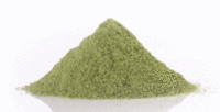 Spray Dried Spinach Powder