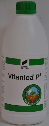 Vitanica p3