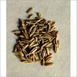 Cumin Seed