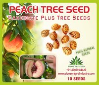 Peach Tree Seed