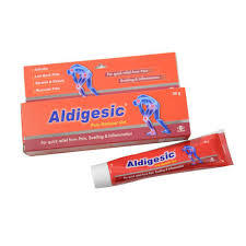 Aldigesic Pain Reliever Gel