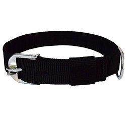 Nylon Dog Collar