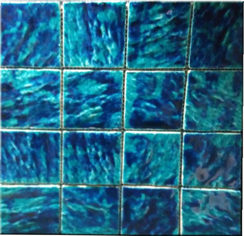 Waterbody Mosaic