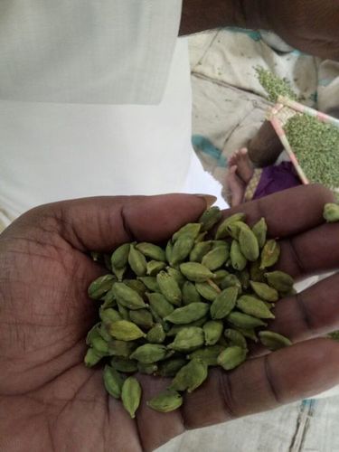 Cardamom