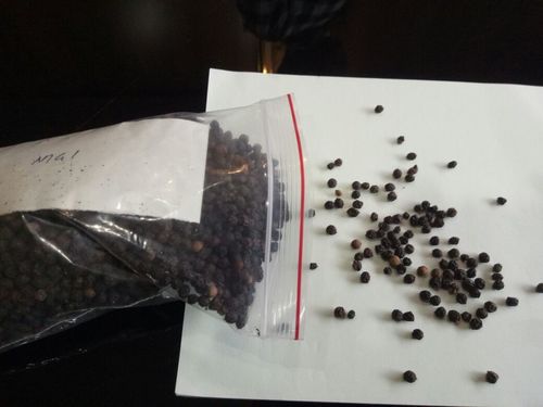 Black Pepper