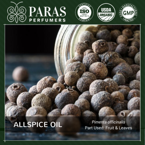 Allspice Oil