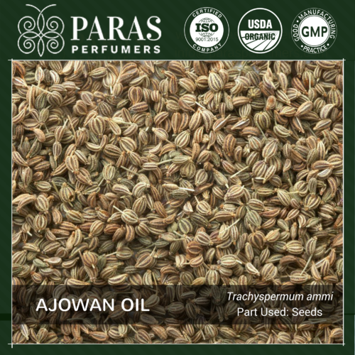 Ajowan Oil