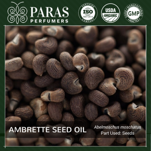 Ambrette Seed Oil