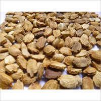 Brown Fresh Bitter Gourd Seeds
