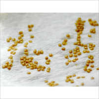 Natural Tomato Seeds Natural Tomato Seeds