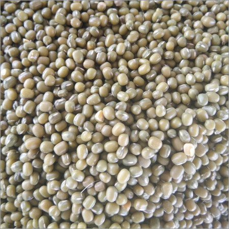Moong Seeds