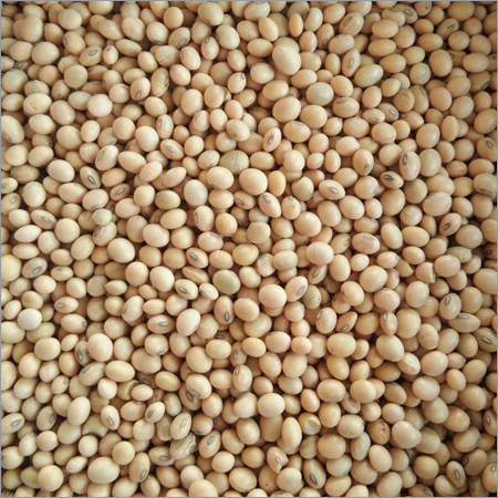 Soya Beans