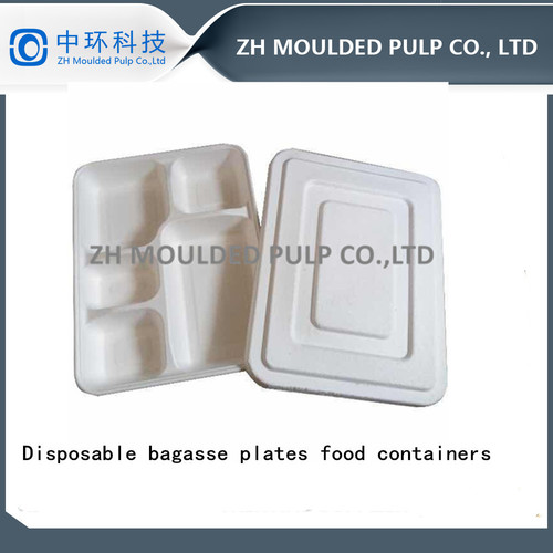 Semi Automatic Biodegradable Food Container Plates Making Machine By ZH MOULDED PULP CO., LTD.