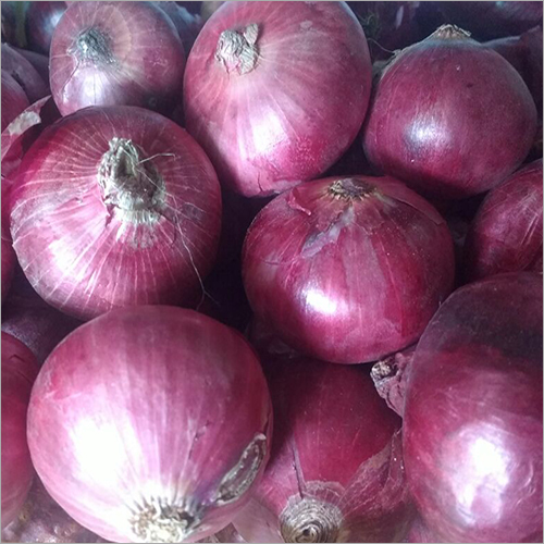 Onion