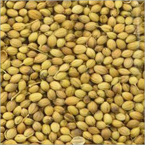 Coriander Seeds
