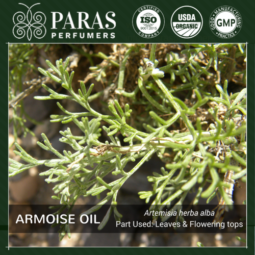 Armoise (Artemisia Herba Alba) Oil Age Group: All Age Group