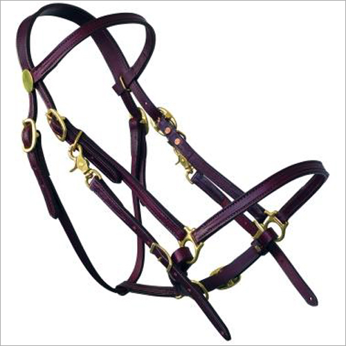 Horse Bridles