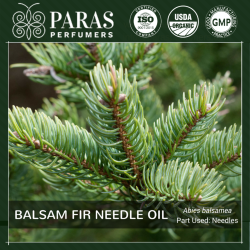Balsam Fir Needle Oil