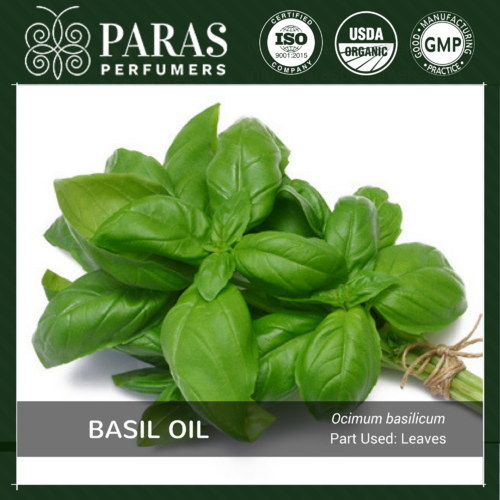 Basil Oil