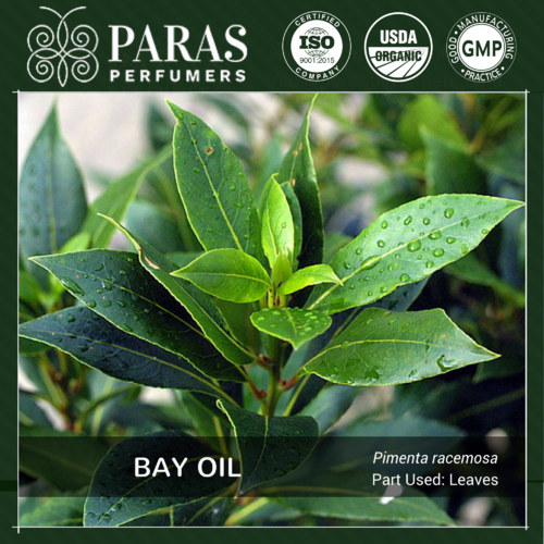 Bay Oil