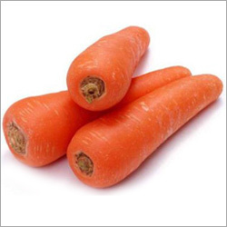 Carrots Seeds
