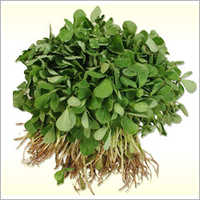 Fenugreek Seeds