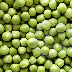 Agriculture Peas Seeds