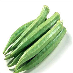 Agriculture Lady Finger Seeds