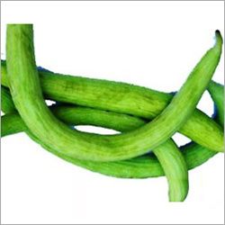 Ridged Gourd Seeds