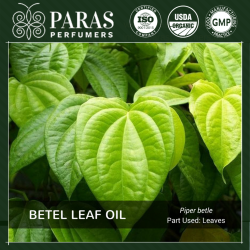 Betel Leaf Oil Age Group: All Age Group