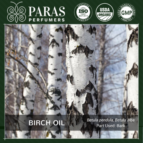 Birch Oil18