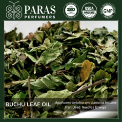 Buchu Leaf Oil