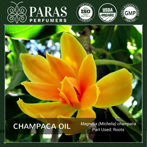 Champaca Oil