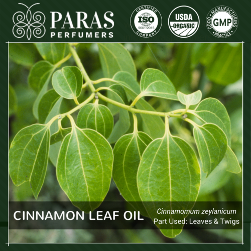 Cinnamon Leaf Oil
