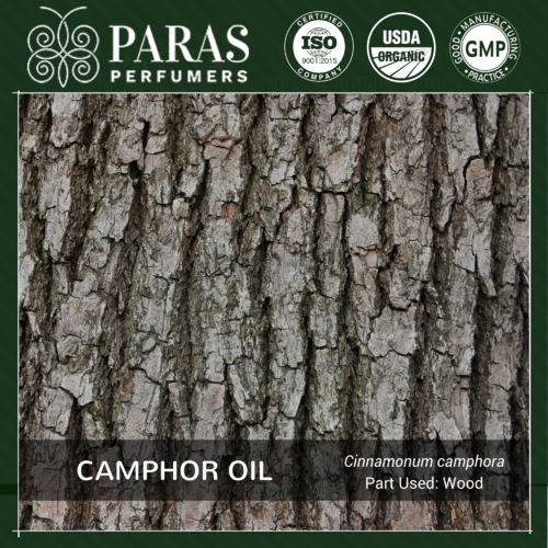 Camphor Oil