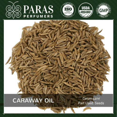 Caraway Oil