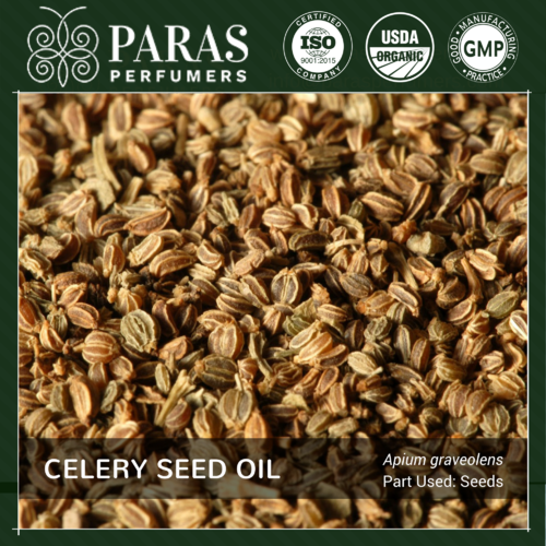 Celery Seed Oil