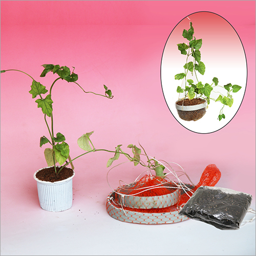 Eco Friendly Hanging Set
