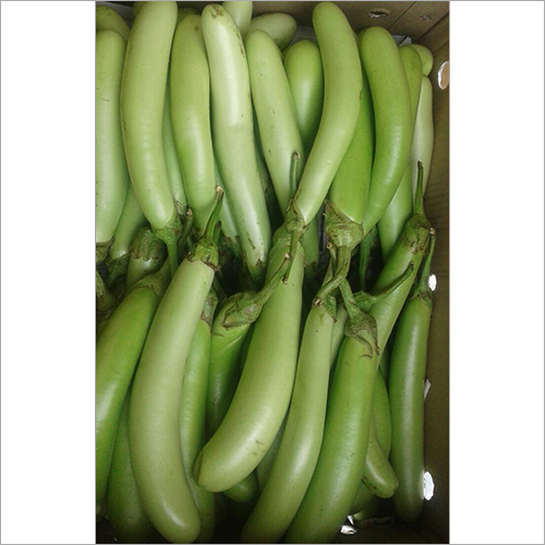 White Long Brinijal