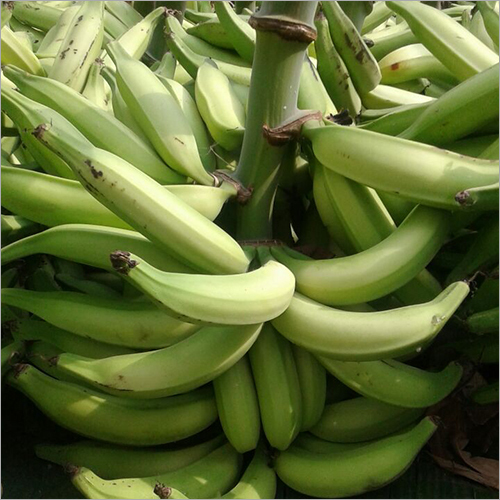 Green Banana
