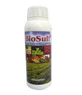 BioSulf
