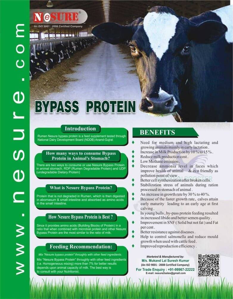Gomukhi With Bypass Protein - Powder Form, Delicate Fragrance | High Nutrient Formulation for Improved Muscle Growth and Increased Lactation