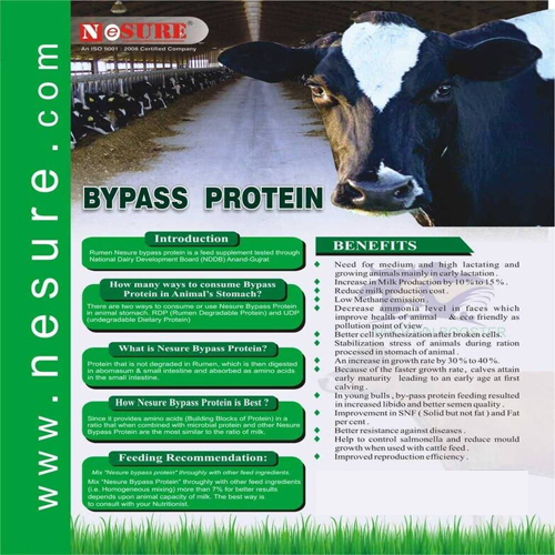 Gomukhi With Bypass Protein - Powder Form, Delicate Fragrance | High Nutrient Formulation for Improved Muscle Growth and Increased Lactation